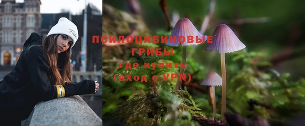 амфетамин Каменногорск